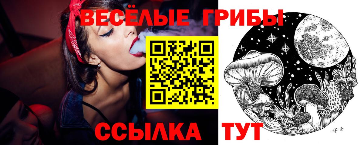 Галлюциногенные грибы прущие грибы Вязники