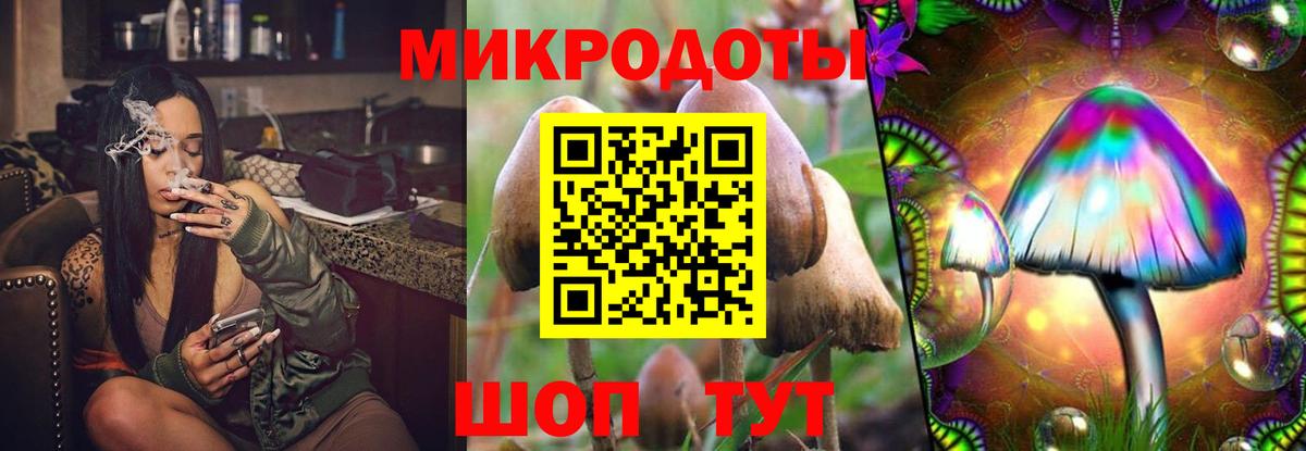 Вязники  Псилоцибиновые грибы ЛСД  наркота  Псилоцибиновые грибы Psilocybine cubensis  Вход с VPN 